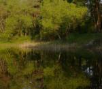 Чернигов: озеро Святое